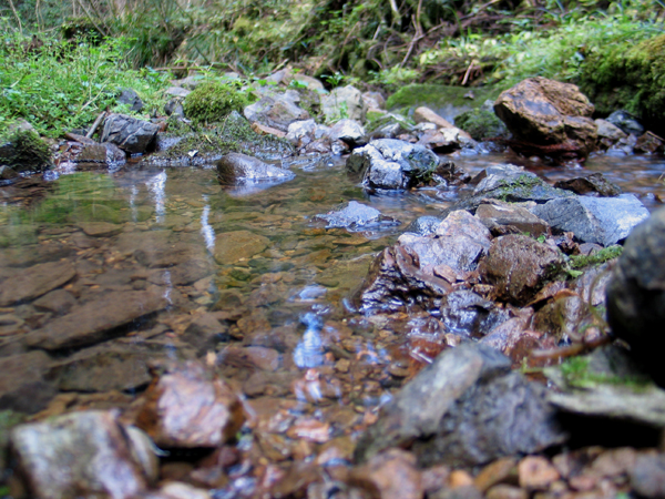 f0107315_1432630.jpg