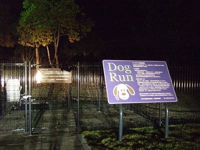 c0127617_21193916.jpg