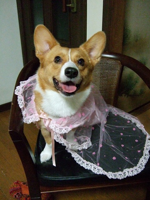 c0127617_21591164.jpg
