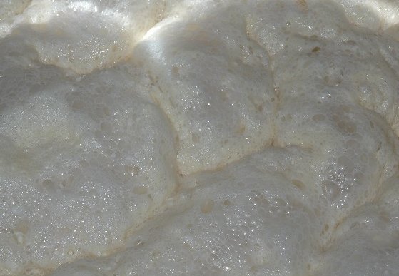 f0158618_111416.jpg