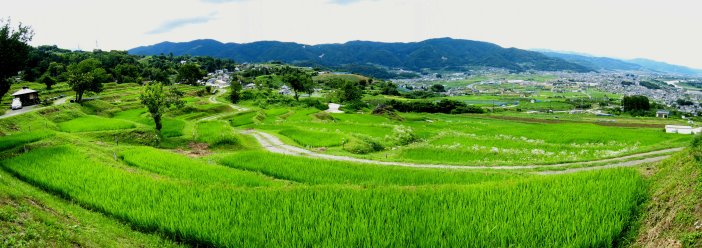 c0051620_654955.jpg