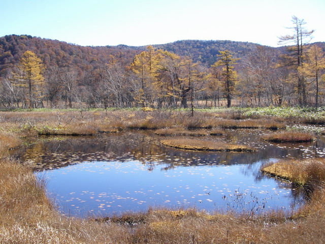 f0036924_12491816.jpg