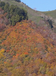 f0036924_12583381.jpg