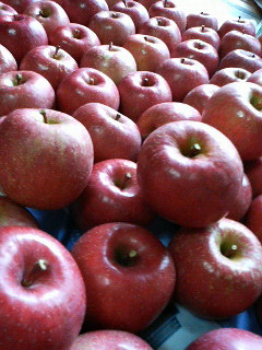 d0081025_1871843.jpg