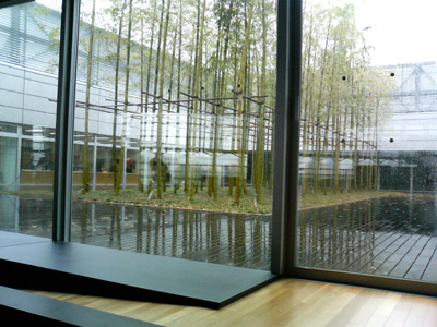 f0000425_1739583.jpg