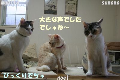 f0063729_202012100.jpg