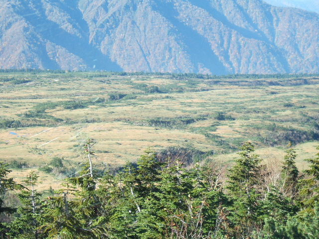 e0064133_1651489.jpg