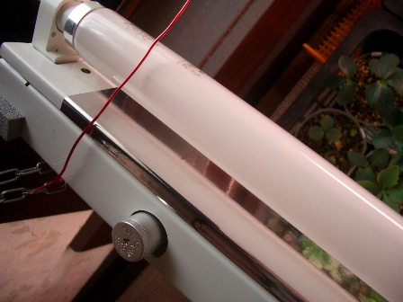 c0025140_16103433.jpg