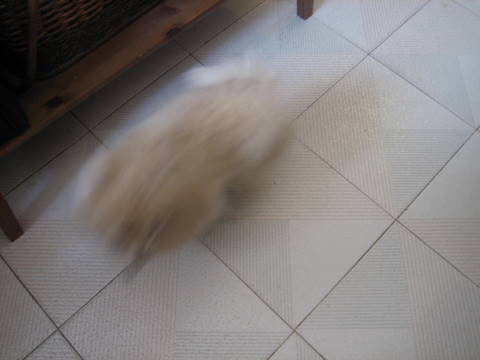 e0018143_2152046.jpg