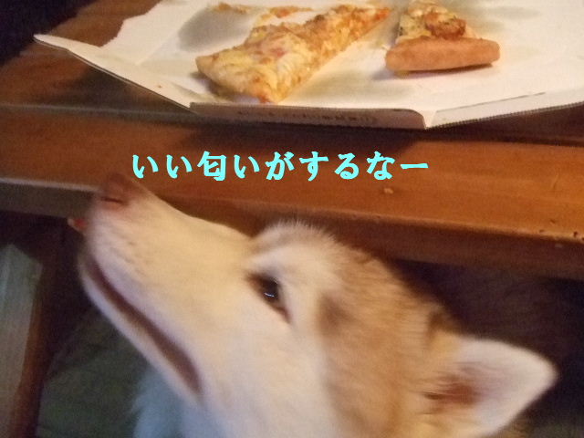 e0121548_20112761.jpg