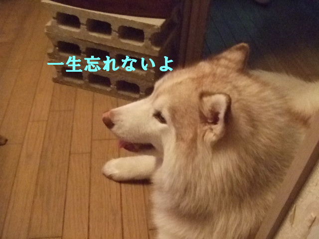 e0121548_2024575.jpg