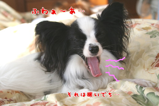 d0013149_033598.jpg