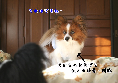 d0013149_0383237.jpg