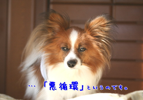 d0013149_042463.jpg