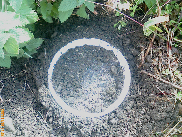 b0029350_17432395.jpg