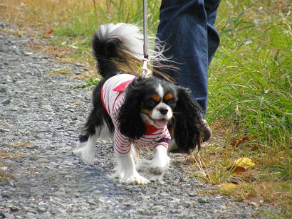 c0145250_16313924.jpg