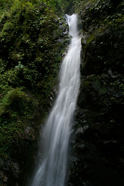 d0100156_19275250.jpg