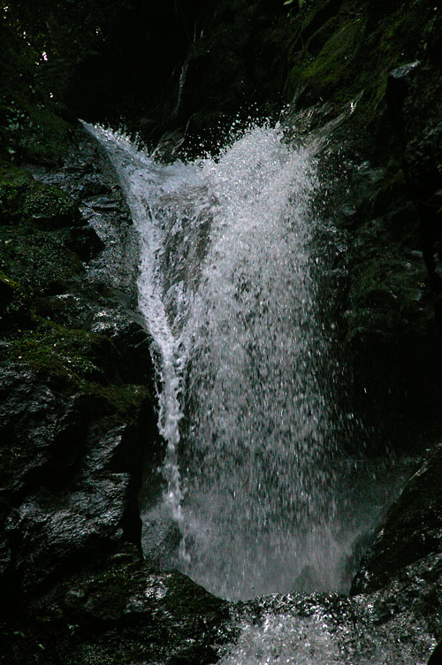 d0100156_19294861.jpg