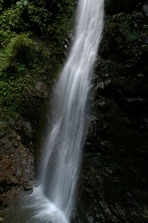 d0100156_19313457.jpg