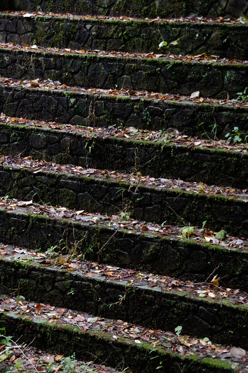 d0100156_1933929.jpg