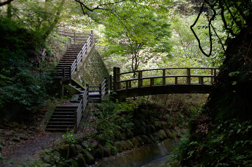 d0100156_19371865.jpg