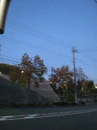 f0140257_152458.jpg