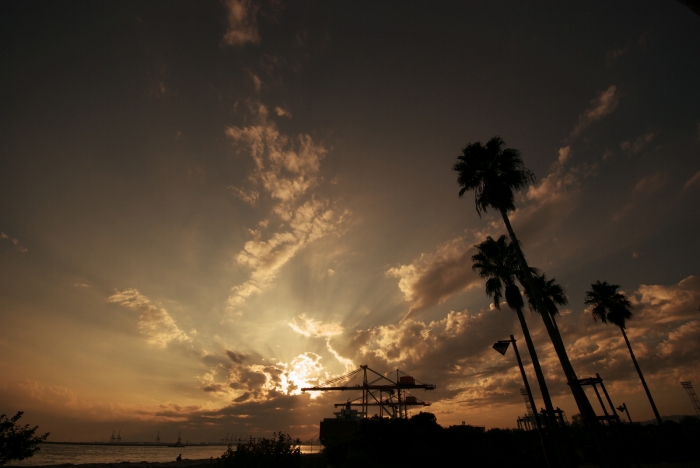 c0123759_2330928.jpg