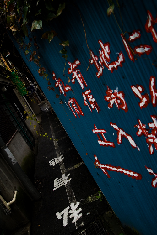 c0114161_1956555.jpg