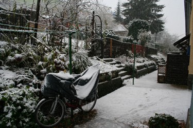 b0008366_23201093.jpg
