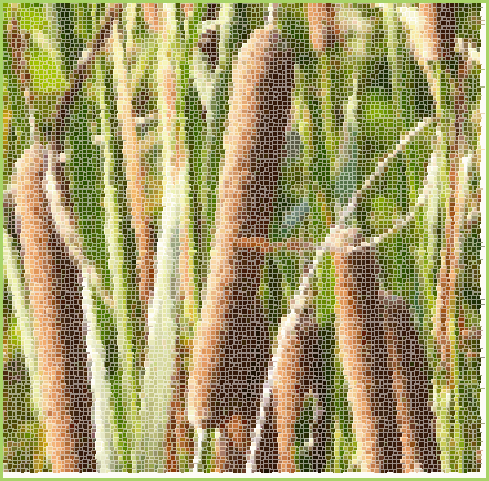 f0092775_1010930.gif