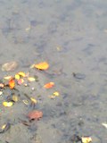 c0046281_1357585.jpg