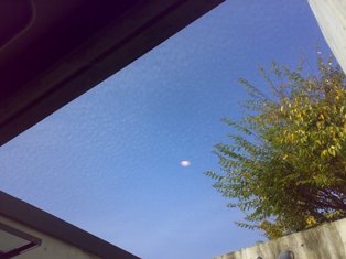 e0070286_1241966.jpg