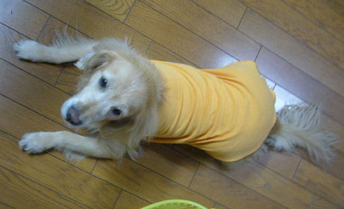 c0085188_2123447.jpg