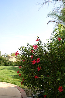 c0121289_11112775.jpg