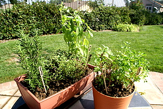 c0121289_1193719.jpg