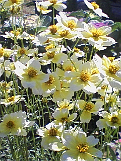 e0059289_2222055.jpg