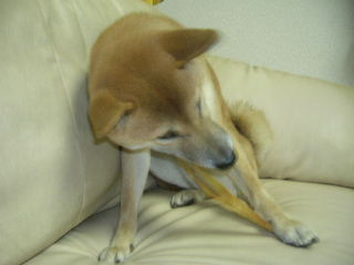 c0123890_21223590.jpg