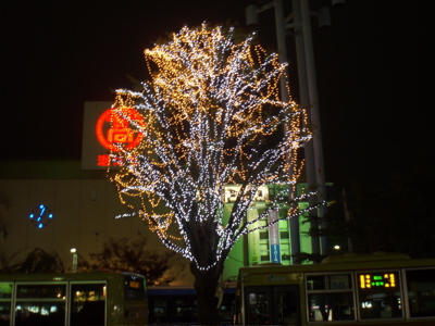 f0130894_21152759.jpg