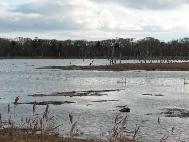 f0020302_21564529.jpg