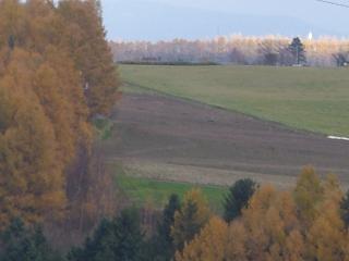 e0119003_2231311.jpg
