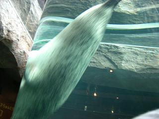 e0119003_2254195.jpg