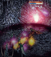 f0019203_14585867.gif