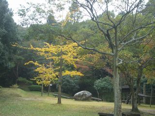 b0061107_23132810.jpg