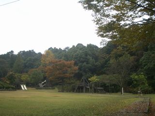 b0061107_23141946.jpg