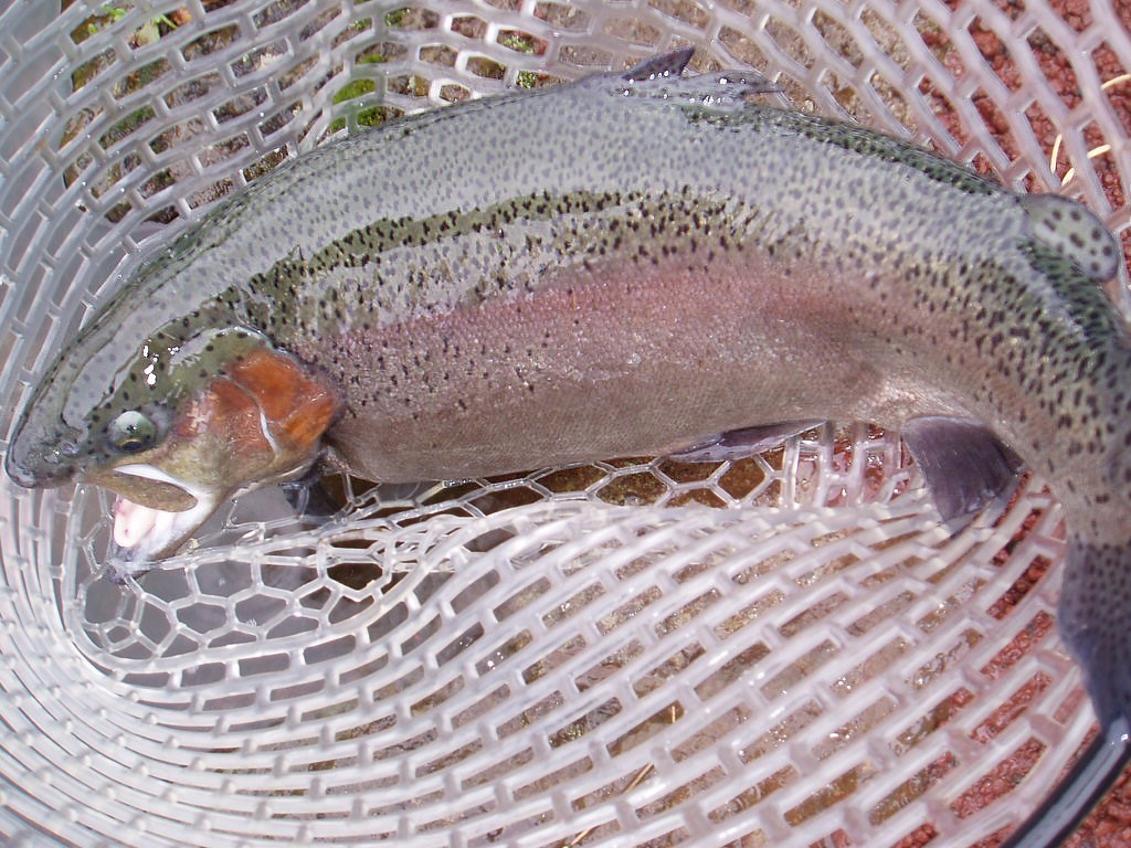 f0137709_094011.jpg