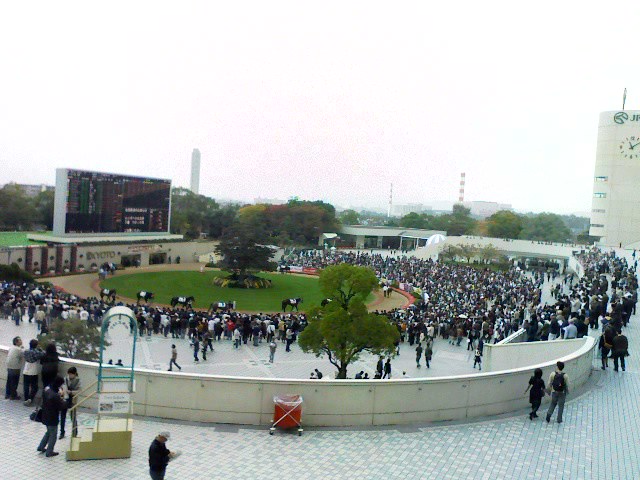 b0021311_21371889.jpg