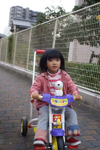 a0044114_21234842.jpg
