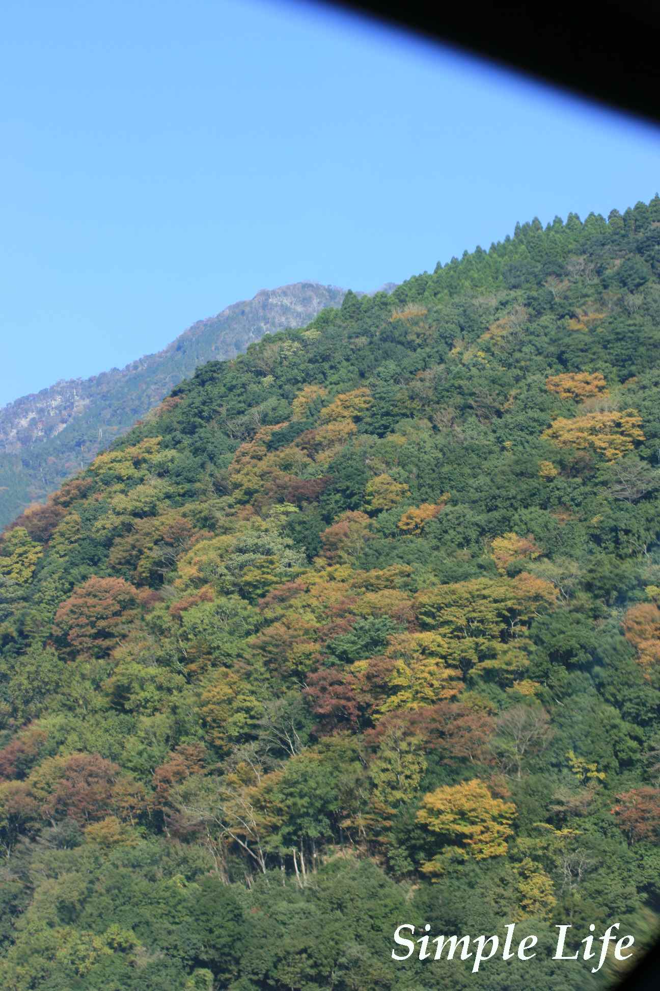 c0117614_739220.jpg