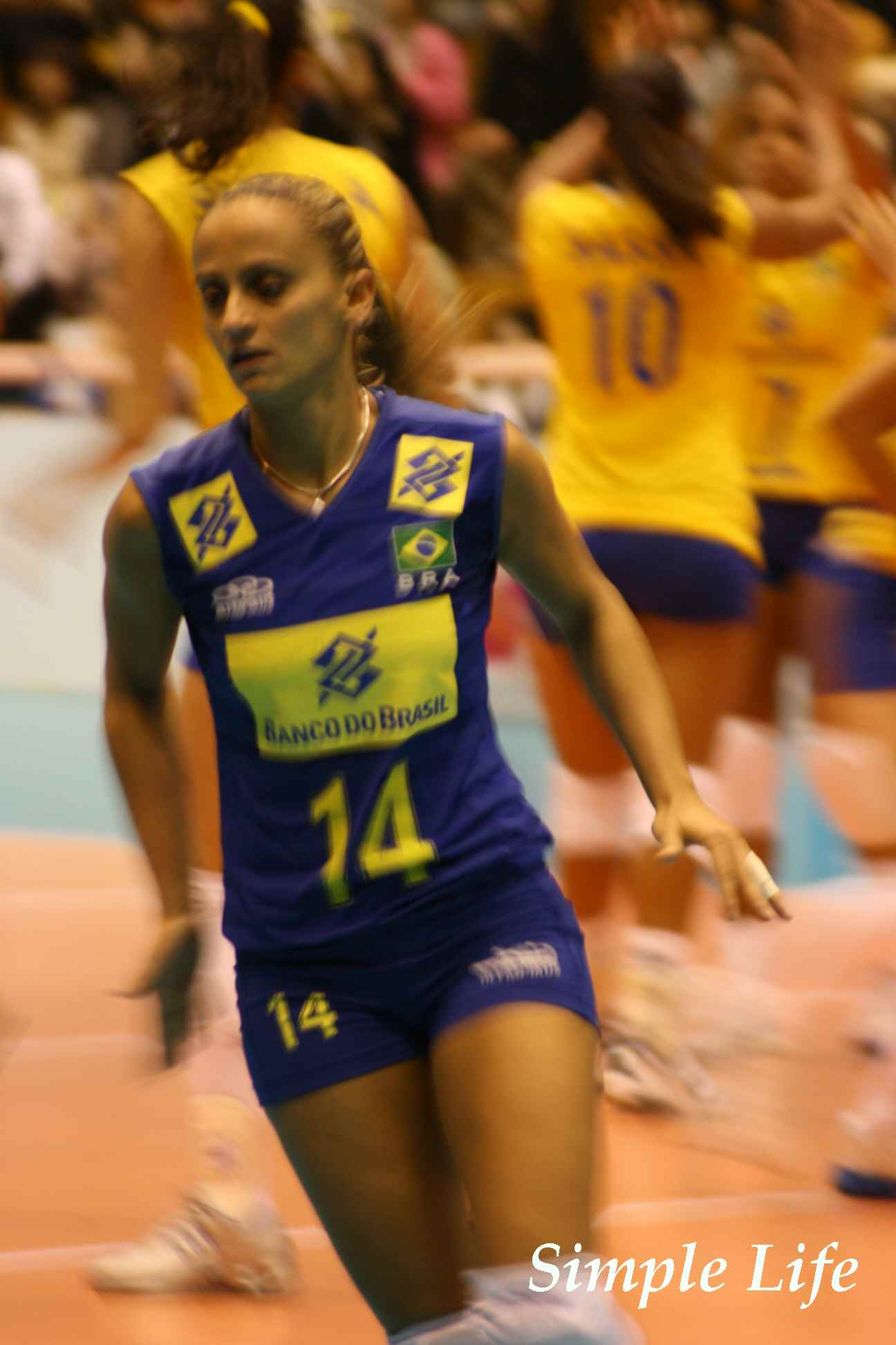 c0117614_7501016.jpg