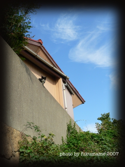 b0057517_14321168.jpg